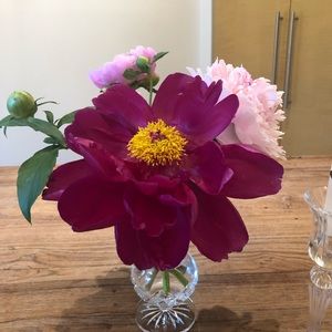 Meet your Posher, Mia